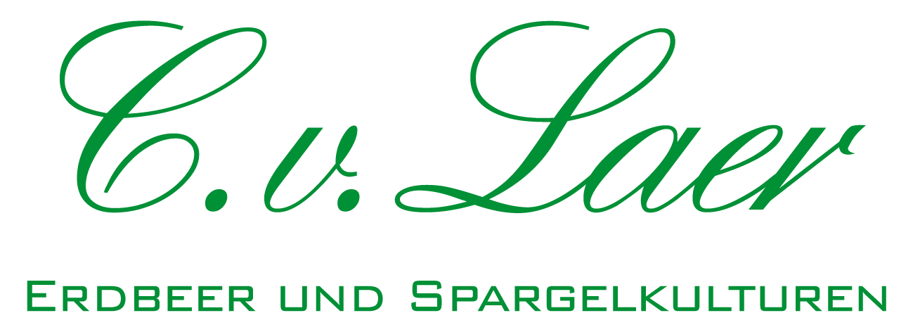 Logo erstellen lassen Herford